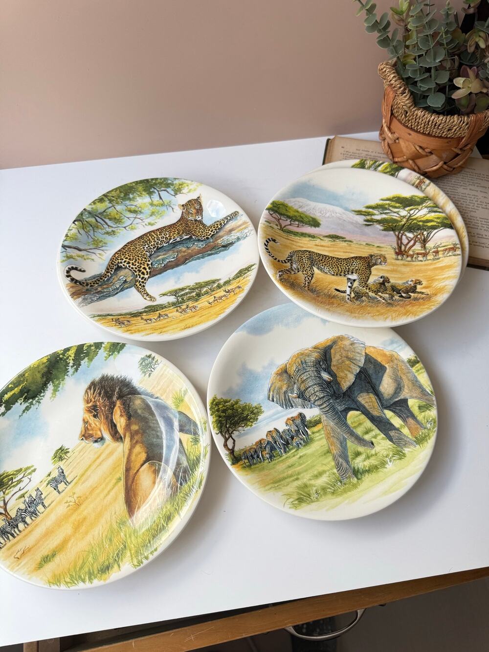 Gien France Safari Plates Set of 6 8.5" Lion Elephant Leopard Cheetah Animal